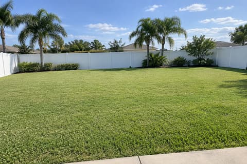 A flat backyard lawn with a white privacy fence and palm trees, in afternoon sun.