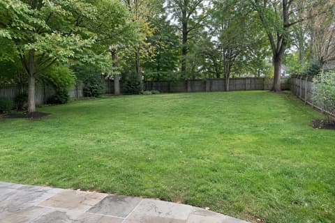 A gently sloped grass backyard with a wood fence and mature trees on an overcast day.